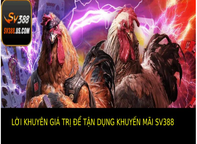 khuyen-mai-sv388-toi-uu-trai-nghiem-va-tan-dung-uu-dai-tai-nha-cai-43